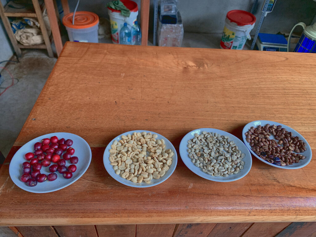 5 Day Salkantay trek - Coffee beans staged