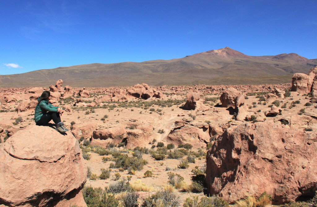 Complete Tour of the Uyuni Salt Flats and Colored Lagoons: Desert view