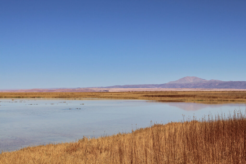 Atacama Desert Itinerary: Laguna Cejar, views of the mountains