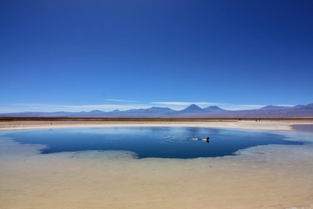 Atacama Desert Itinerary: Floating in the Laguna Cejar