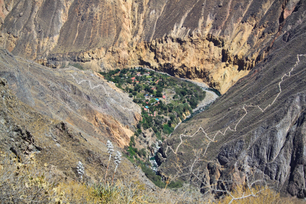 Sangalle Oasis in the Colca Canyon