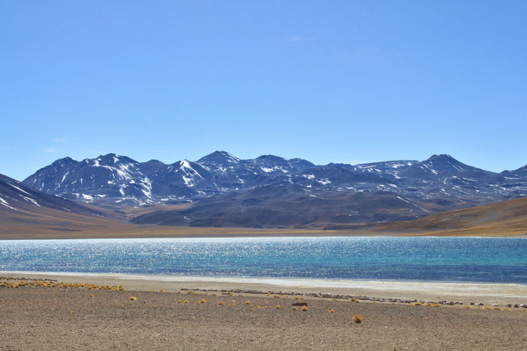 Atacama Desert Itinerary: Miscanti Lagoon