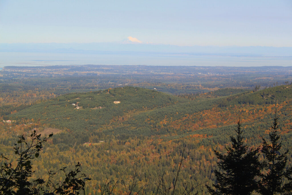 3 Days in Olympic National Park - Hurricane RIdge