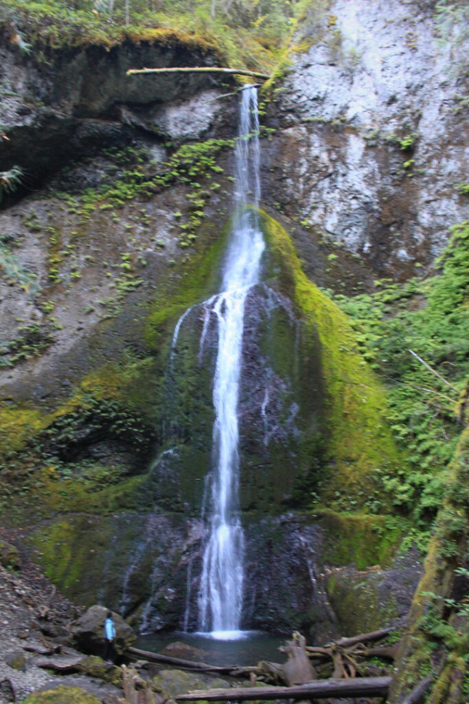 3 Days in Olympic National Park - Marymere Falls
