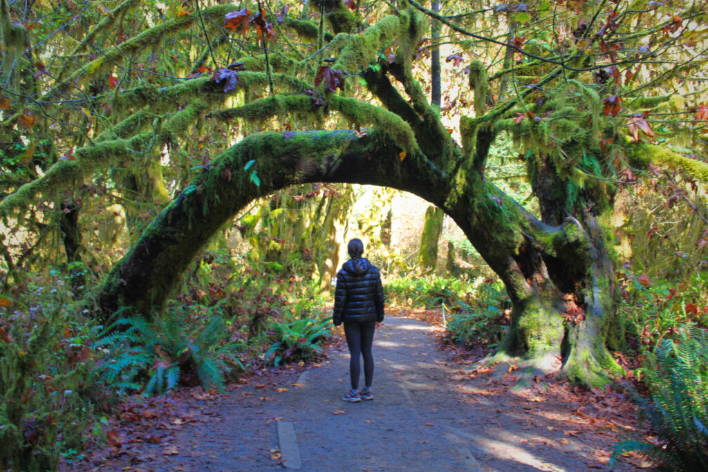 3 Days in Olympic National Park - Hoh Rain forest