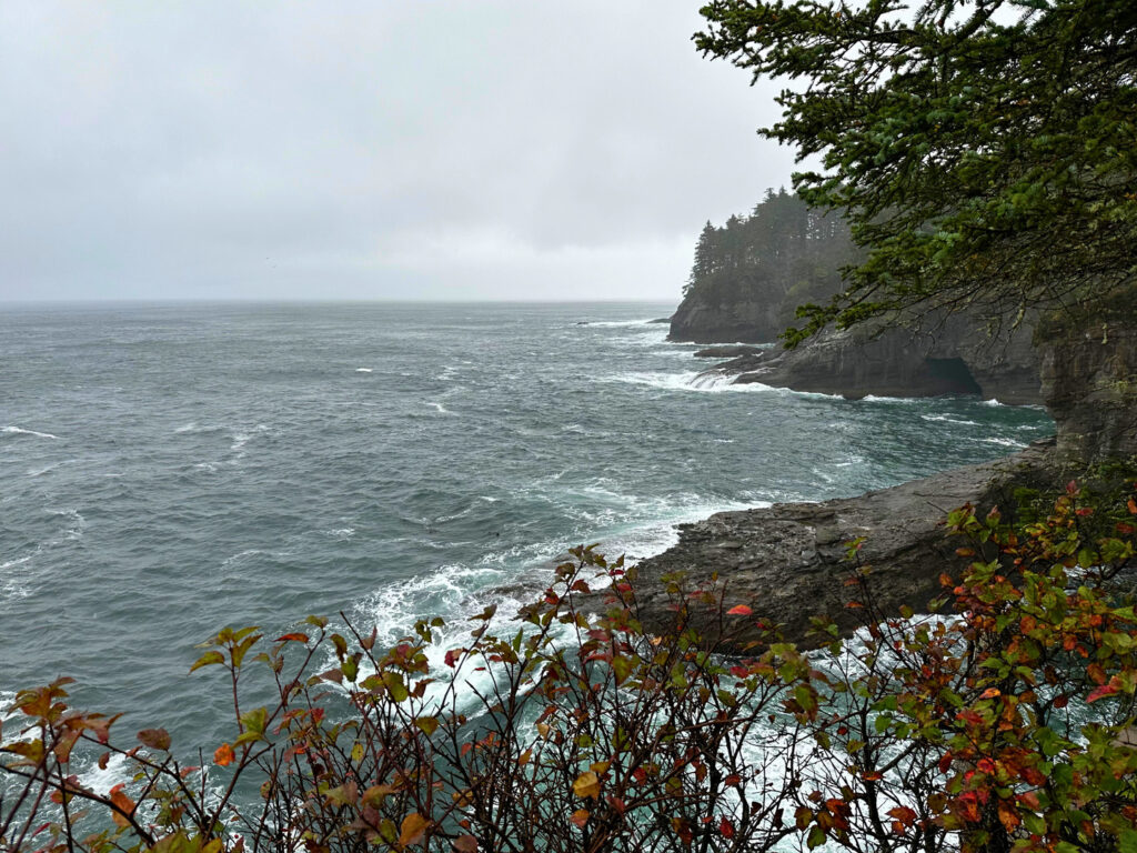 3 Days in Olympic National Park - Cape Flattery