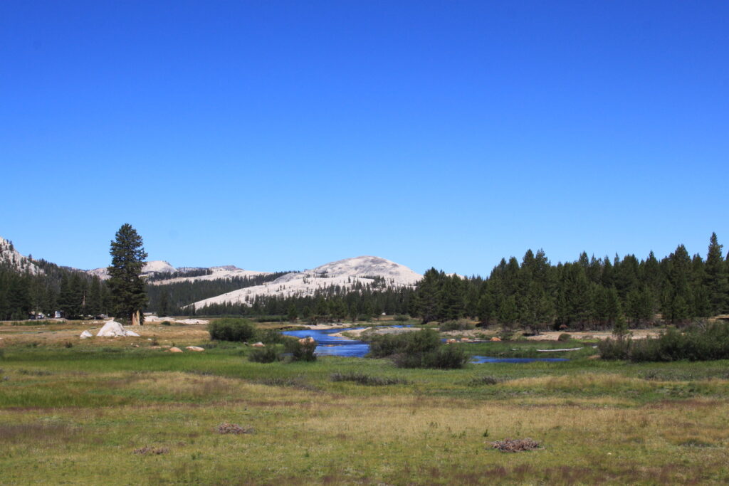 USA West Coast Road Trip: Tuolumne Meadows