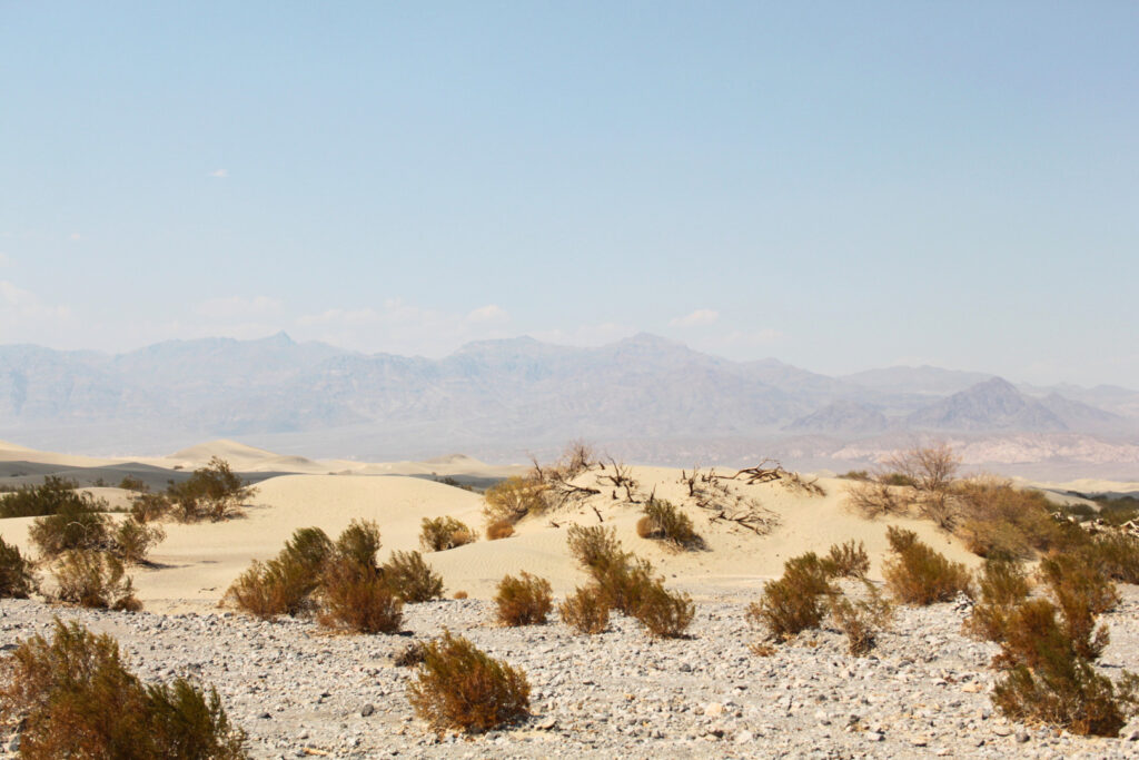 USA West Coast Road Trip: Mesquite Flat Sand Dunes