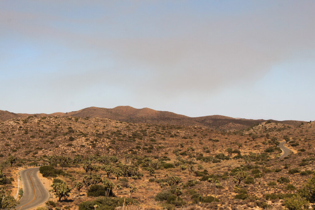 USA West Coast Road Trip: Joshua Tree National Park