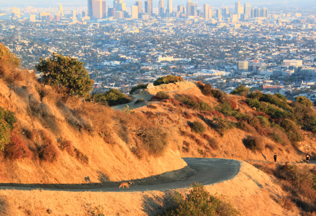 USA West Coast Road Trip: Griffith Observatory