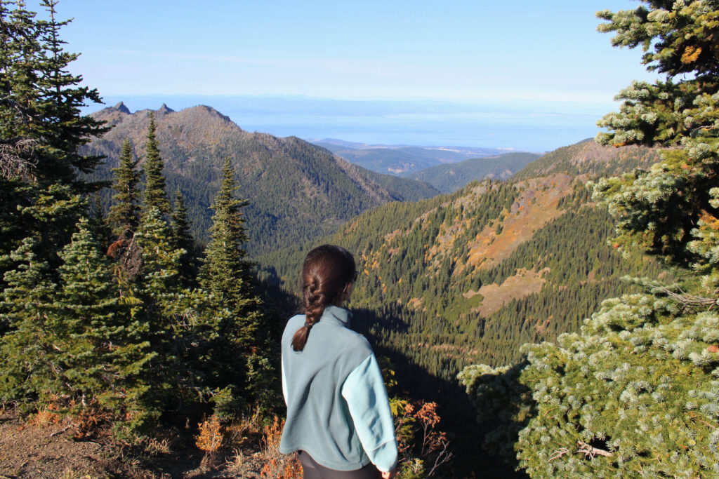 3 Days in Olympic National Park - Hurricane RIdge