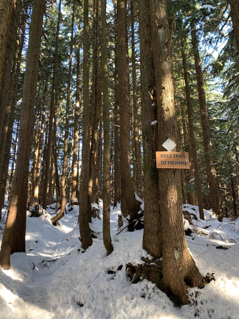 Snowy winter hikes near Vancouver: Mount Fromme North Vancouver