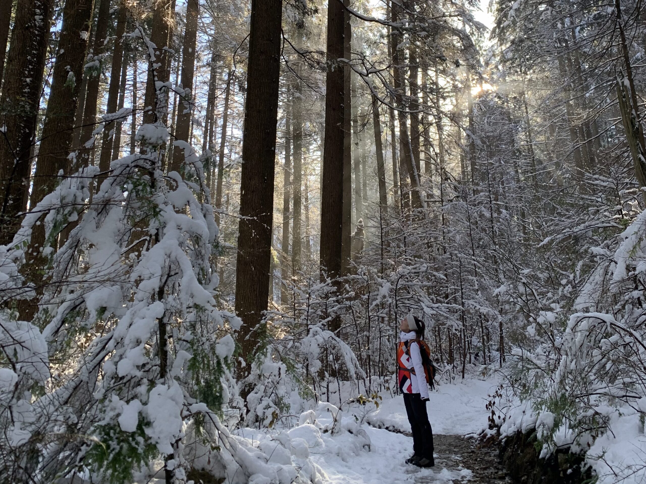 Snowy winter hikes near Vancouver: Big Cedar and Kennedy Falls