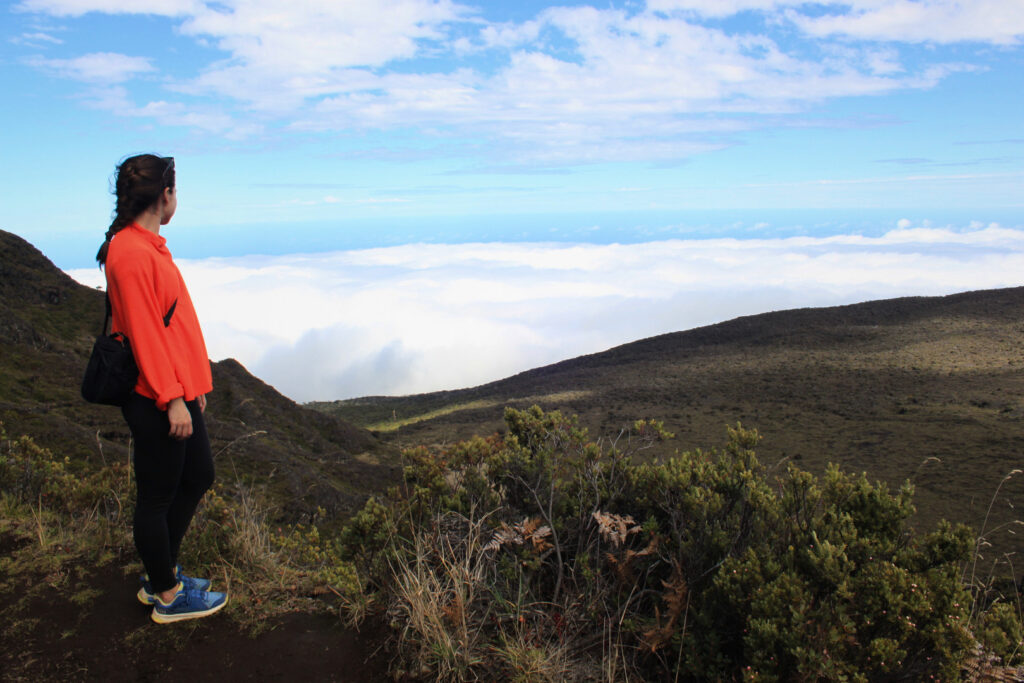 Above the clouds on the Halemauu Trailhead in Maui, Hawaii