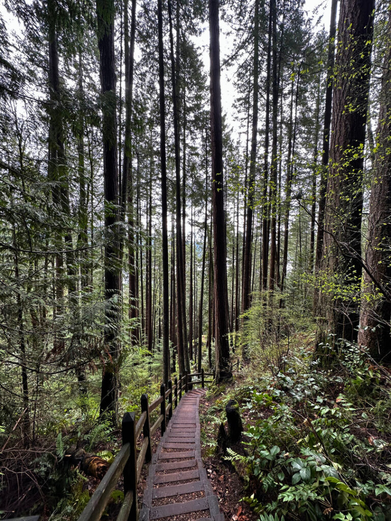 Sunshine Coast in British Columbia, Hidden Grove