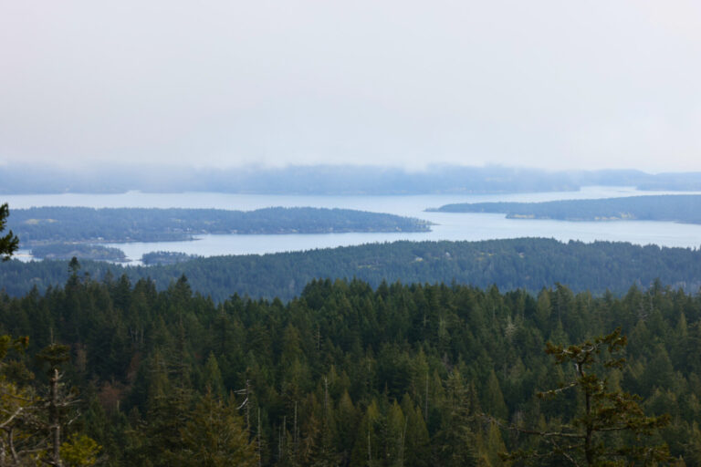 The Best Salt Spring Island Activities For A Weekend Getaway